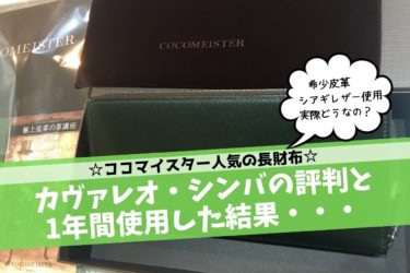 カヴァレオ・シンバの評判は？実際に1年間使用した私の口コミ【最高で